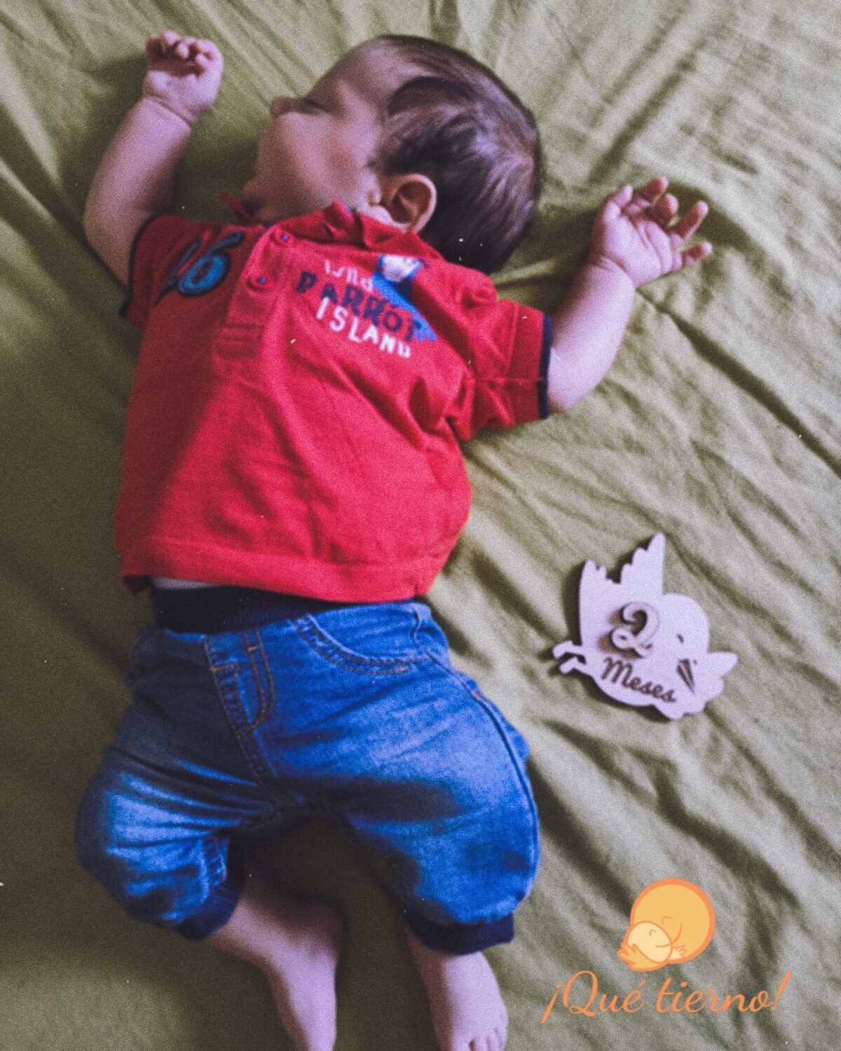 Anuario fotográfico - Imagen 2