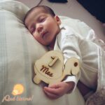 Anuario fotográfico - Imagen 4