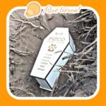 Ataúd para mascotas pequeñas