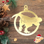 Bola Dinosaurio - Imagen 4