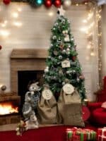 PLACA AUTENTICIDAD SACO DE PAPA NOEL PERSONALIZADA MADERA METACRILATO SELLO POLO NORTE NAVIDAD QUE TIERNO LAS PALMAS CANARIAS